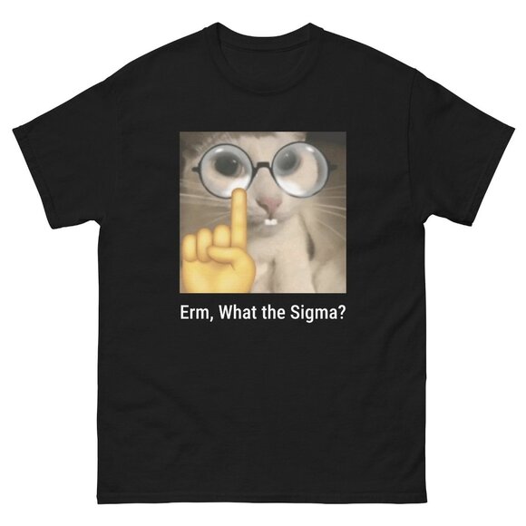 Tops - Erm What the Sigma, Meme T-Shirt, Funny T-Shirts, Meme Shirts, Funny Brainrot